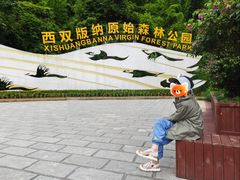 -西双版纳原始森林公园