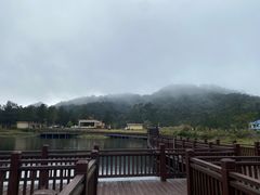 -海南热带雨林国家公园吊罗山景区