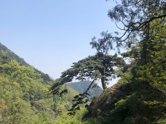 -泰山风景名胜区