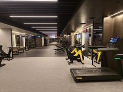 -新加坡乌节希尔顿酒店 (SG Clean)