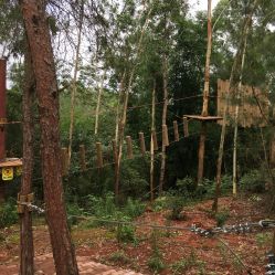 -成都飞越丛林(锦绣城园区)