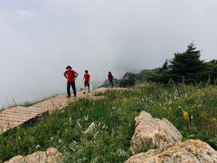 -白草畔自然风景区