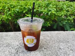 -LIMITED EXPRESS 限定快线