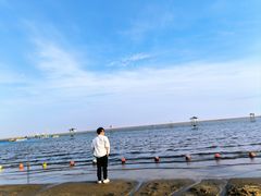 -碧海金沙