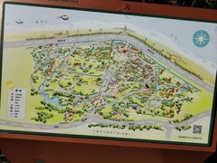 -上海滨江森林公园