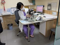 -瑞派宠物医院·24h·骨外科·皮肤科·全科宠物医疗转诊中心(沈阳浑南院)