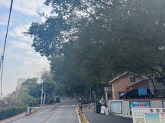 -火炉山森林公园