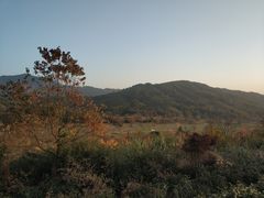 -塔川景区