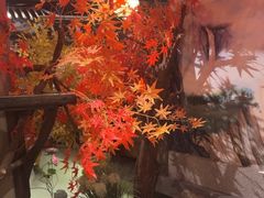 -蓉城老妈火锅(双林路店)