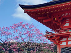 -清水寺