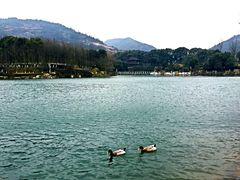 -白马涧龙池景区