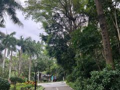 -深圳国际园林花卉博览园