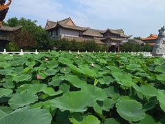 -大悲禅寺