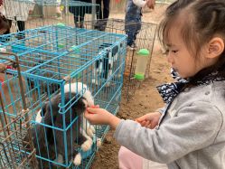 -前小桔亲子创意农场·草莓采摘·露营烧烤