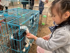 -前小桔亲子创意农场·草莓采摘·露营烧烤