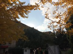 -辽宁大学(崇山校区)
