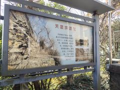 -紫金山天文台