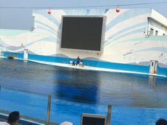 -北戴河圣蓝海洋公园