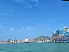 -招商蛇口邮轮母港(观光客运)