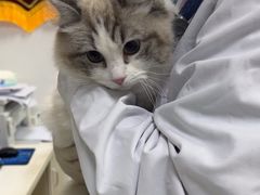 -美美宠物诊疗中心·异宠·骨科(滨江东信分院)