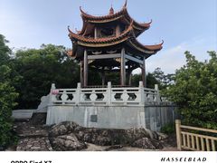 -野狸岛