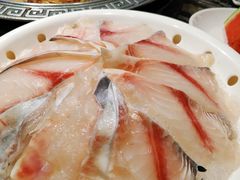 -杨肥肠火锅大排档(火车站花园店)