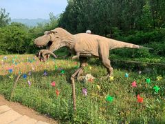 -盛世牡丹苑生态文化旅游区