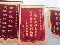 -宠爱国际动物医院· 猫科· 外科·中兽医(长白店)