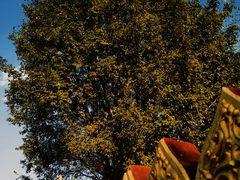 -一寨两国风景区