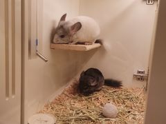 -龙猫仔乐园(惠福东路店)