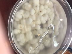 玉米糖水-粉家柳州螺蛳粉(杨宅路店)