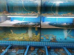 -老东镇啤酒屋海鲜加工·蒸汽海鲜·海鲜烧烤(台东店)