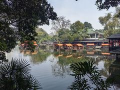 -侨美·唐荔园·40年地道粤菜