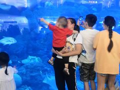 -成都浩海立方海洋公园