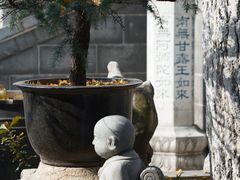 -灵谷景区