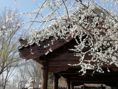 -三里河公园