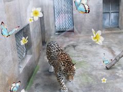 -西安秦岭野生动物园