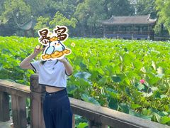 -房湖公园
