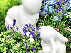 -深圳市中科院仙湖植物园