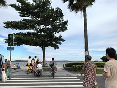-椰风寨