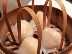 -金鼎轩(方庄天坛店)
