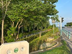 -合肥滨湖国家森林公园