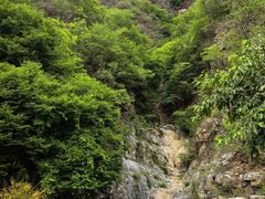 -十渡东湖港风景区