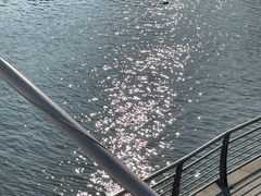 -映月湖中央公园