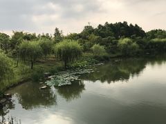 -上海怡沁园度假酒店