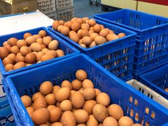 -农工商超市(古棕路店)