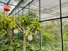 -南宫五洲植物乐园