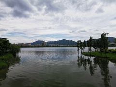 -飞来湖湿地公园