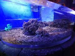 -哈尔滨波塞冬海底世界
