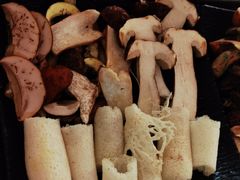 -蘑统田下·野生菌火锅